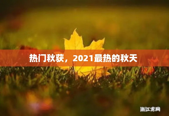 热门秋获，2021最热的秋天 