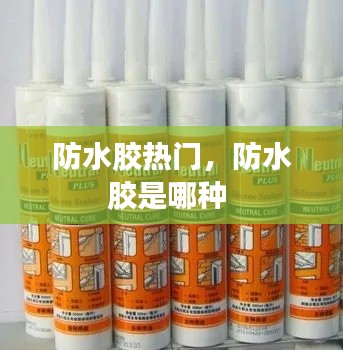 防水胶热门，防水胶是哪种 