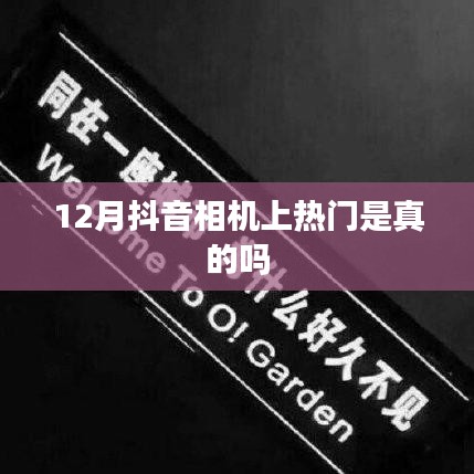 张弛不定 第2页