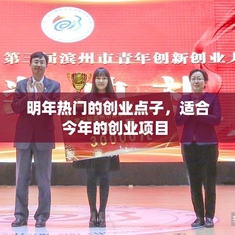 明年热门的创业点子，适合今年的创业项目 