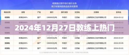 教练热潮，揭秘背后的故事，时间定格在2024年12月27日