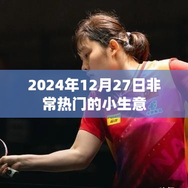 2024年超火小生意，抓住商机，轻松致富！