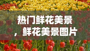暗室屋漏 第3页