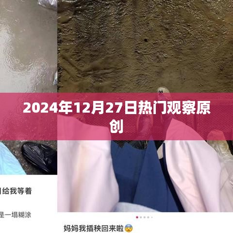 2024年12月27日热门观察独家报道