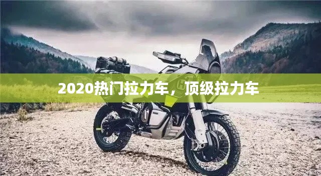 2020热门拉力车，顶级拉力车 