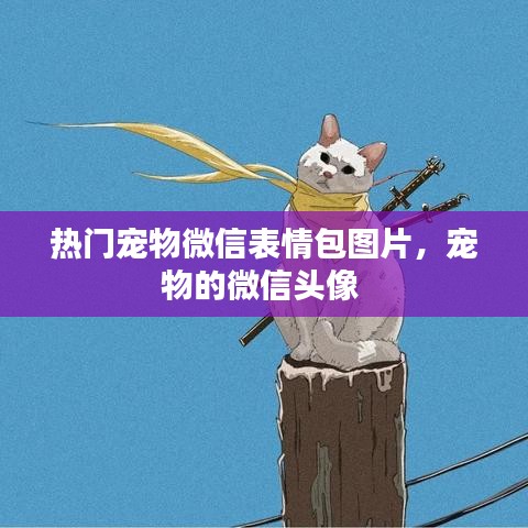 热门宠物微信表情包图片，宠物的微信头像 