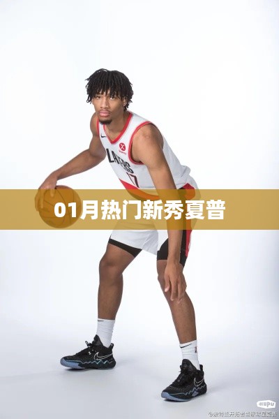 夏普，一月热门新秀揭秘