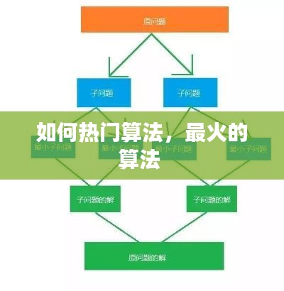 如何热门算法，最火的算法 