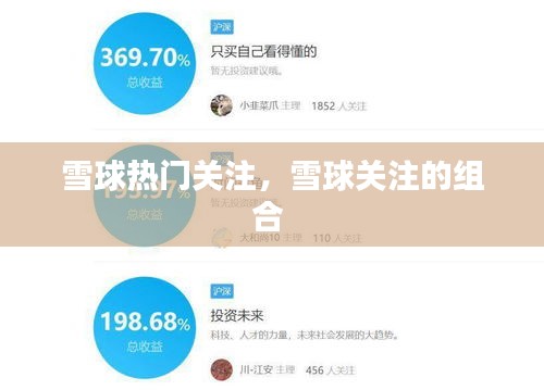 雪球热门关注，雪球关注的组合 
