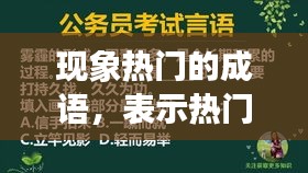 现象热门的成语，表示热门的成语 