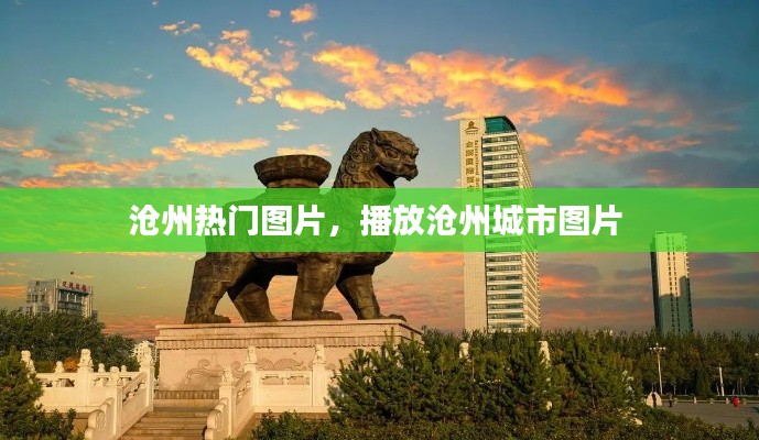 沧州热门图片，播放沧州城市图片 