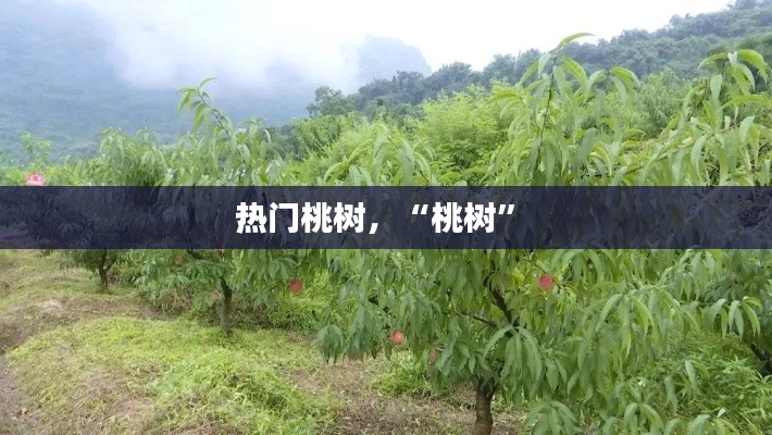 鸡飞狗跳 第4页