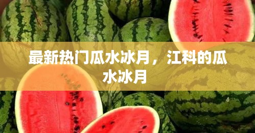 最新热门瓜水冰月，江科的瓜水冰月 