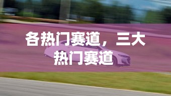 各热门赛道，三大热门赛道 
