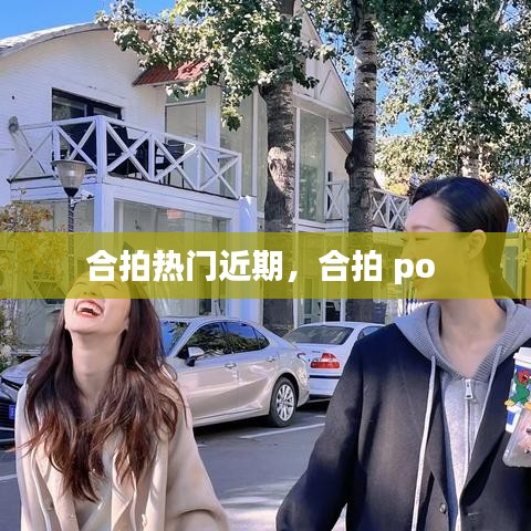 合拍热门近期，合拍 po 