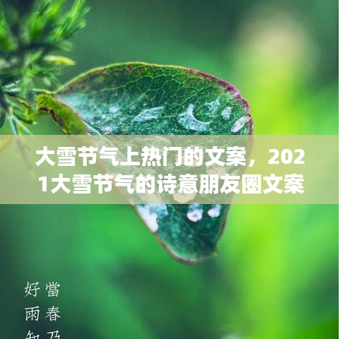 大雪节气上热门的文案，2021大雪节气的诗意朋友圈文案 