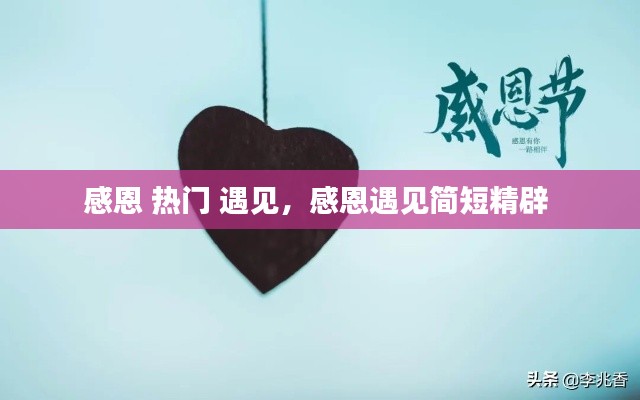 感恩 热门 遇见，感恩遇见简短精辟 
