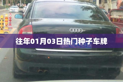 精选种子车牌，历年一月初热门车牌盘点