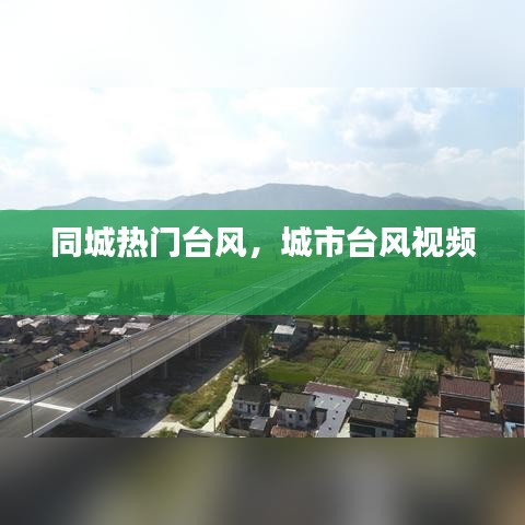 同城热门台风，城市台风视频 