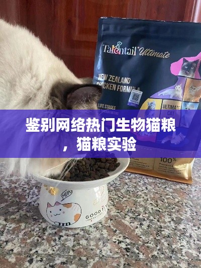鉴别网络热门生物猫粮，猫粮实验 
