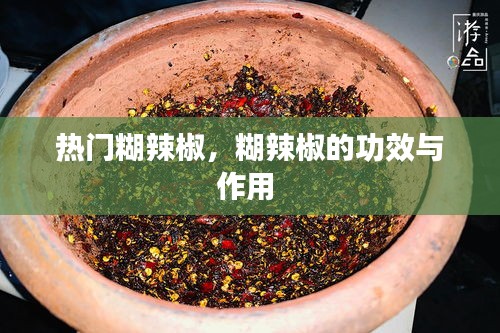 热门糊辣椒，糊辣椒的功效与作用 