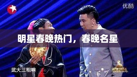 明星春晚热门，春晚名星 