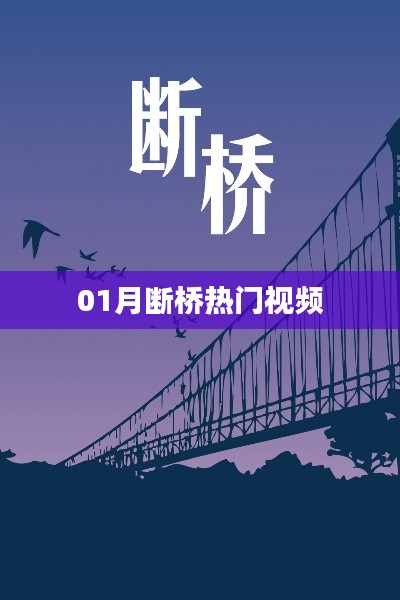 01月断桥热门视频盘点