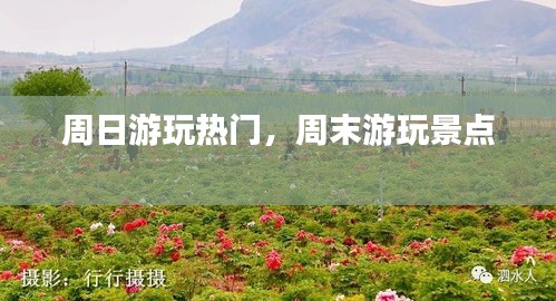 周日游玩热门，周末游玩景点 