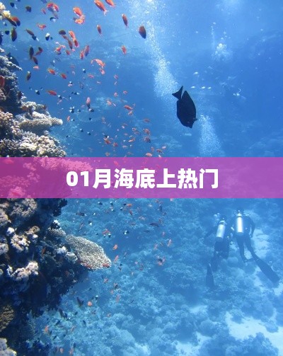 海底探秘揭秘神秘海底世界，一月热点一网打尽！