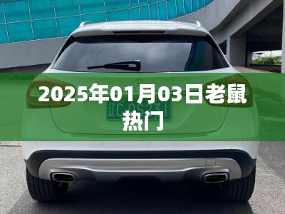 老鼠热门，揭秘生肖运势背后的秘密