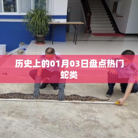 蛇类盘点，历史上的那些热门事件回顾