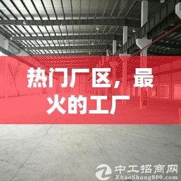热门厂区，最火的工厂 