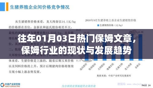 保姆行业现状与发展趋势，聚焦热门文章解析