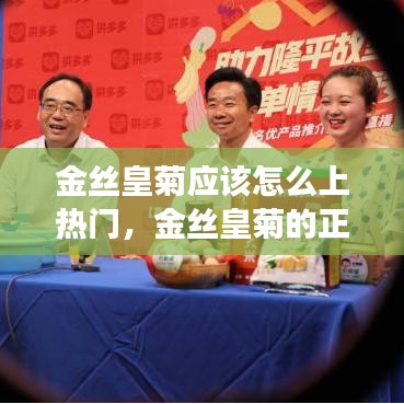 金丝皇菊应该怎么上热门，金丝皇菊的正确喝法 