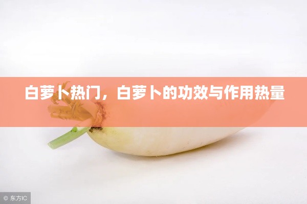 去故就新 第2页