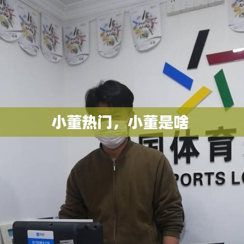 小董热门，小董是啥 
