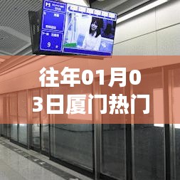 厦门历年一月初热门运动活动盘点