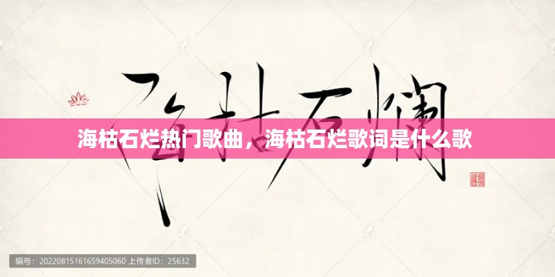 衣不重采 第3页