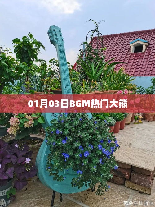 BGM热门大熊，最新流行背景音乐一网打尽