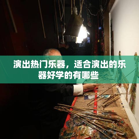 演出热门乐器，适合演出的乐器好学的有哪些 