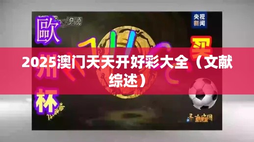2025澳门天天开好彩大全（文献综述）