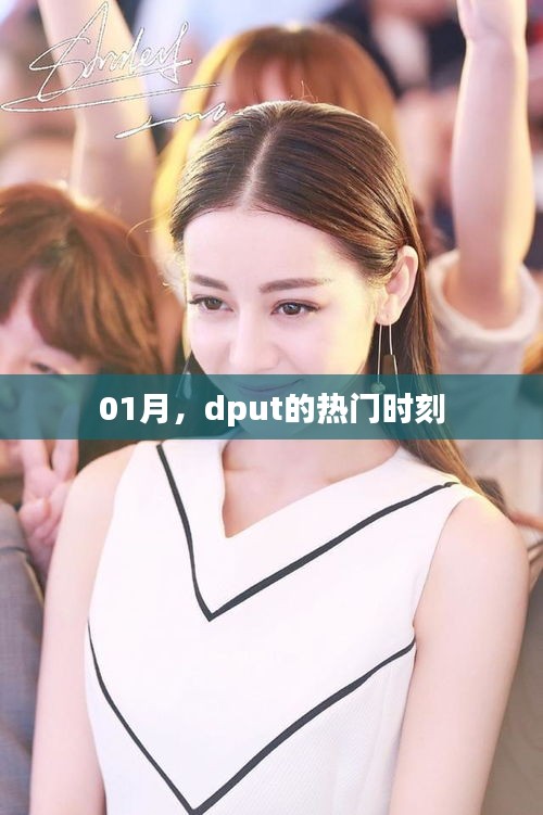 一月热门时刻，dput精彩瞬间回顾