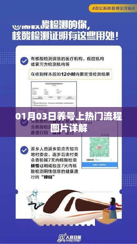 养号上热门流程详解图片指南（日期，XX月XX日）