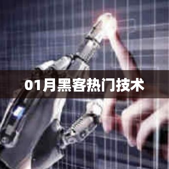 01月黑客热门技术解析