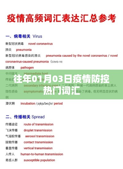 疫情防控热门词汇盘点，历年元旦前后的焦点关注