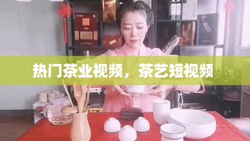 热门茶业视频，茶艺短视频 
