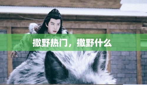 撒野热门，撒野什么 