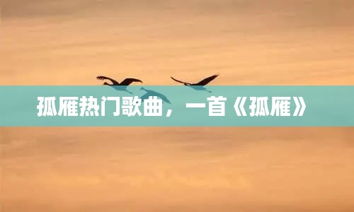 孤雁热门歌曲，一首《孤雁》 