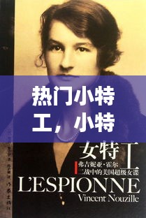 热门小特工，小特工 美国 