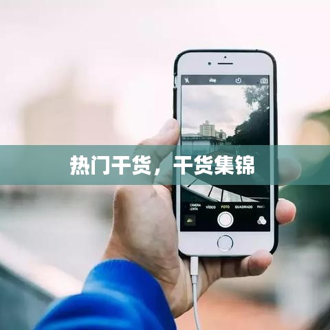 热门干货，干货集锦 
